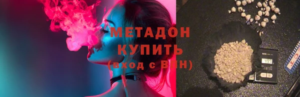 прущие грибы Алзамай