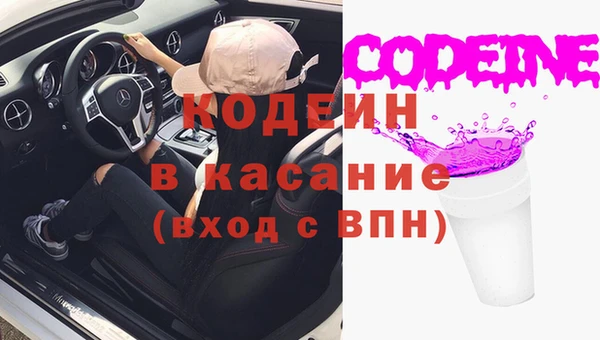 прущие грибы Алзамай